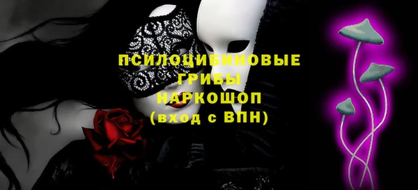 молекула духа Алзамай