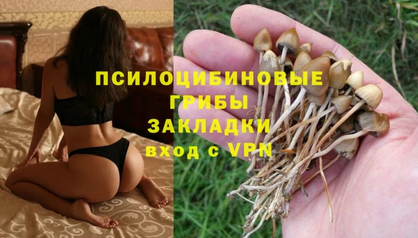 Альфа ПВП Армянск